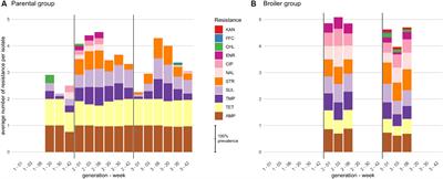 Persistence of commensal multidrug-resistant Escherichia coli in the broiler production pyramid is best explained by strain recirculation from the rearing environment